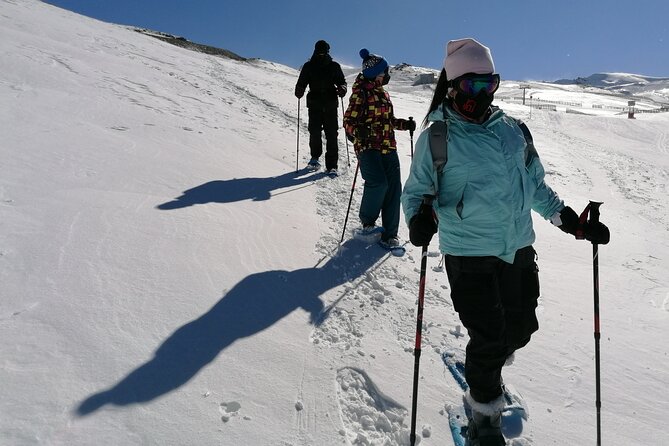 Hiking Snowshoeing in the Sierra Nevada Park, Granada - Meeting Point and Getting There Without Stress
