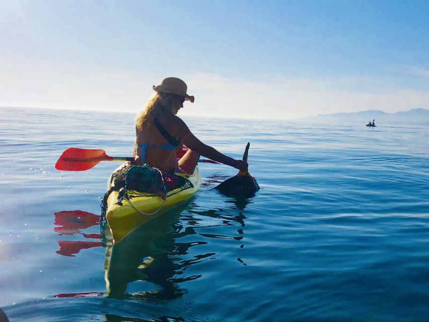 La Herradura: Cerro Gordo Natural Park Kayak & Snorkel Tour - Who your guide is can change the vibe of the whole day
