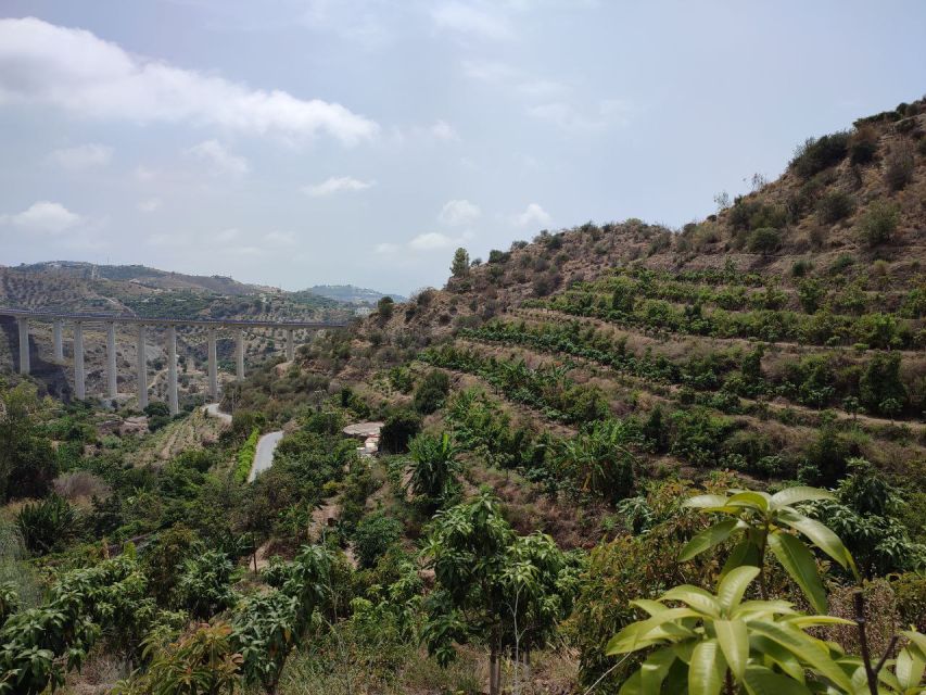 La Herradura Coffee Farm: tour in Europe's only plantation - Key things I think you’ll care about