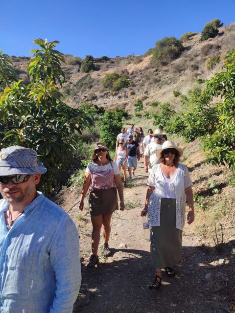 La Herradura Coffee Farm: tour in Europe's only plantation - Coffee Plants and Up to 30 Exotic Fruits in One Stop