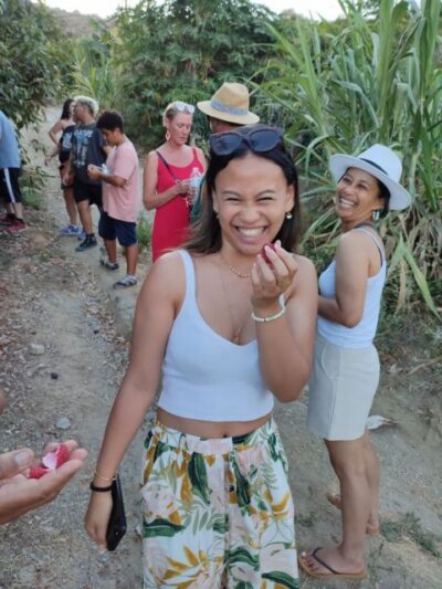 La Herradura Coffee Farm: tour in Europe’s only plantation