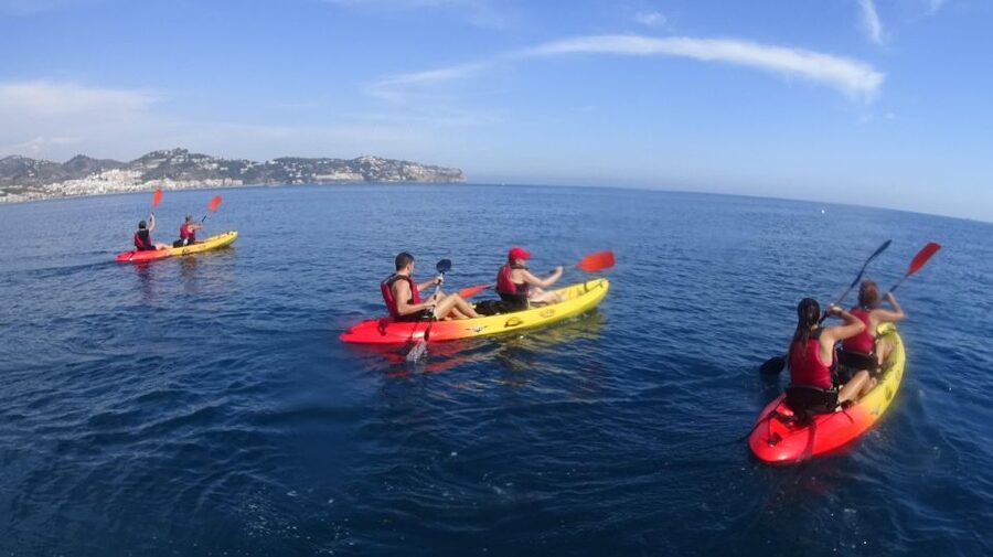 La Herradura: Kayak Tour in Cerro Gordo Natural Park - Wildlife and Subtropical Flora: What You Might Spot Along the Route