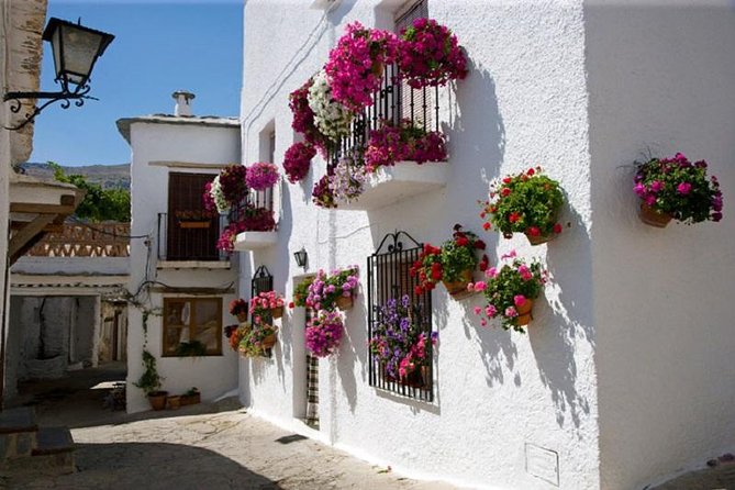 Las Alpujarras Full-Day Tour with Optional Lunch from Granada - Alpujarra in a Day, why this route is better than driving yourself