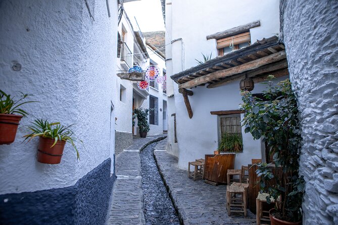 Las Alpujarras Full-Day Tour with Optional Lunch from Granada - 8:30 am pickup and the minivan reality (legroom, comfort, and timing)