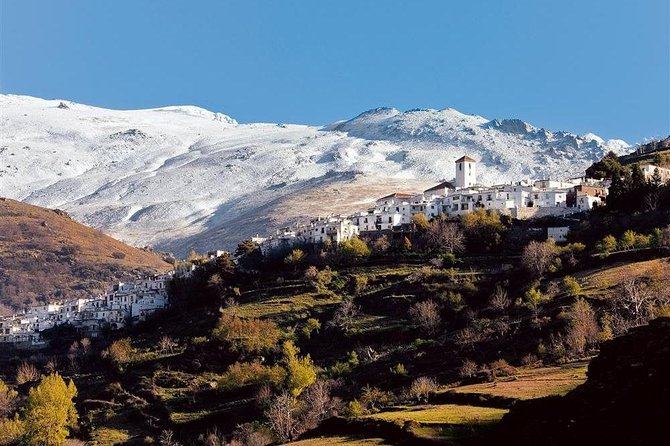 Las Alpujarras Full-Day Tour with Optional Lunch from Granada - Guides and language balance, from Michael to Alexandra and Zaruq