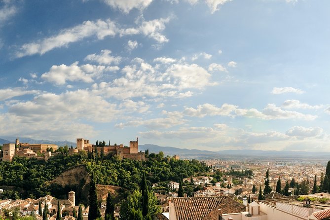 Old Granada Market & Food Tasting Tour - Price and Value for $188.71: What You’re Paying For