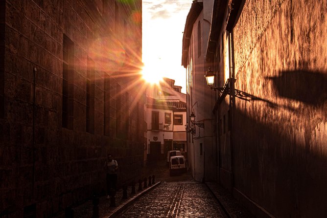 One-Way Private Transfer From/To Granada Airport - Key Points at a Glance