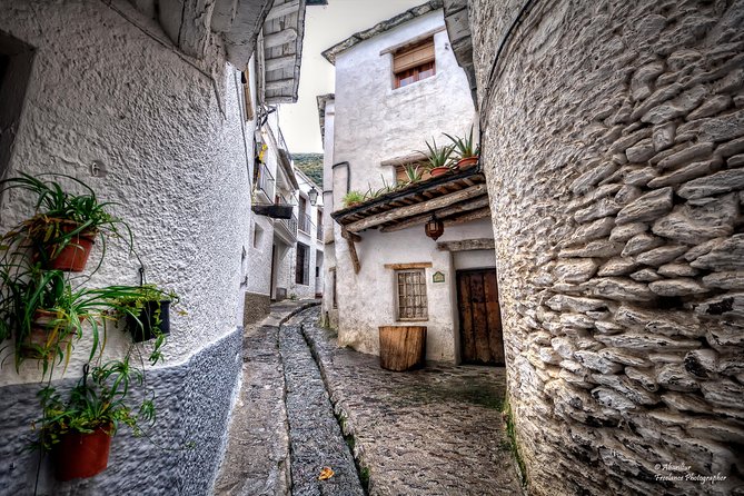 Premium Scenic Daytrip to Alpujarra Villages from Granada (Max 8) - Stop 2: Lanjaron, a Water Town Pause