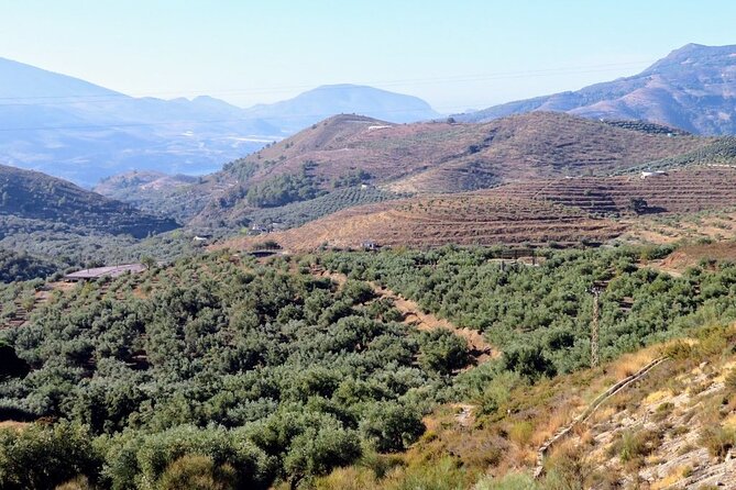 Premium Scenic Daytrip to Alpujarra Villages from Granada (Max 8) - Pampaneira: Colorful Streets, Jarapa Craft Shops, and Lunch Time