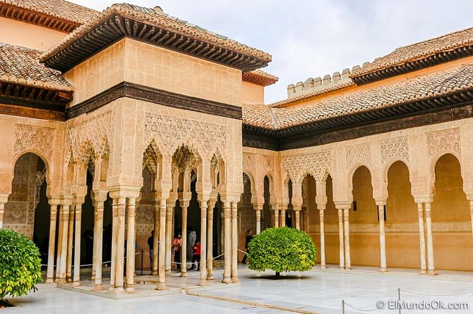 Private Alhambra palace tour and Granada from Motril cruise port - Who this private Alhambra and Granada day trip is best for
