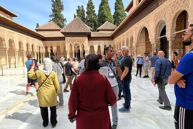 Private excursion to the Alhambra and Generalife - Private tour energy: how guides like Tarek, Bilal, Sherif, and Ahmed change the day