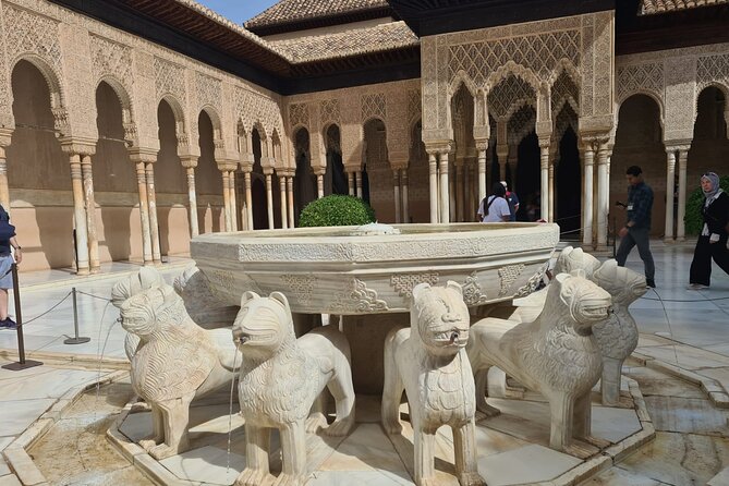 Private excursion to the Alhambra and Generalife - Meeting point details you should not skip