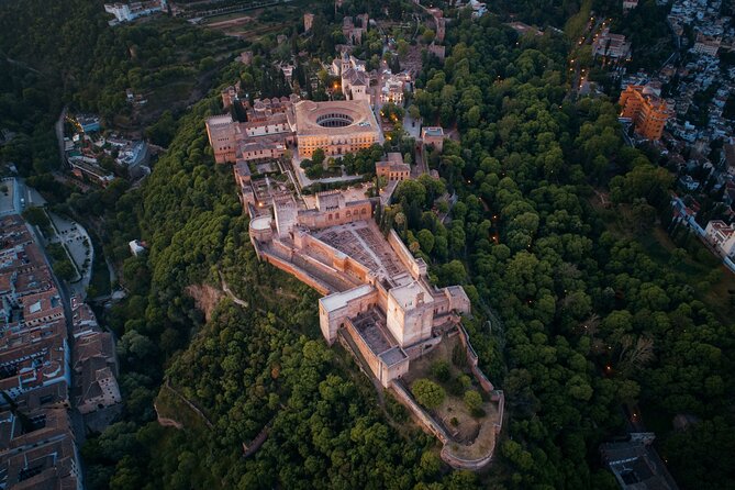 Private tour of the Alhambra entrances included - Nasrid Palaces: where Granada’s government and daily power lived
