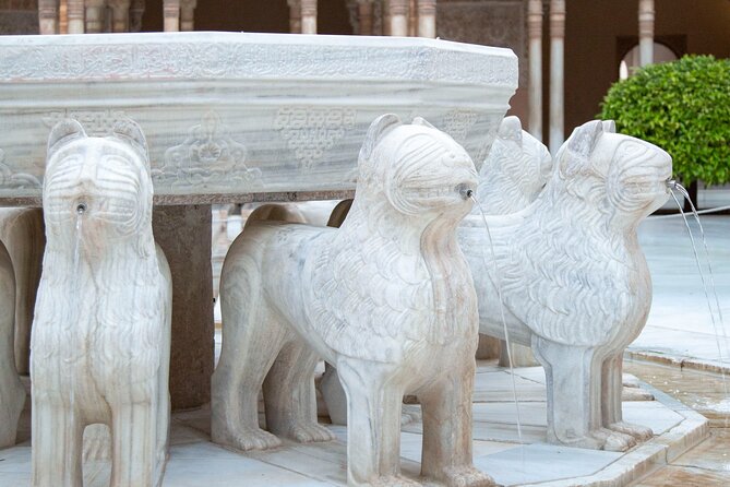 Private Tour of the Alhambra of Granada - A Private, Guided Alhambra Loop That Makes the Details Make Sense
