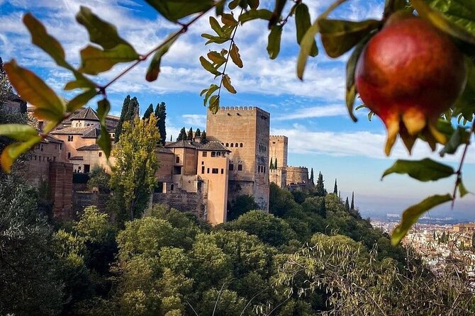 Private Tour to The Alhambra and Generalife from Motril port - Accessibility and comfort, including a real-world wheelchair story