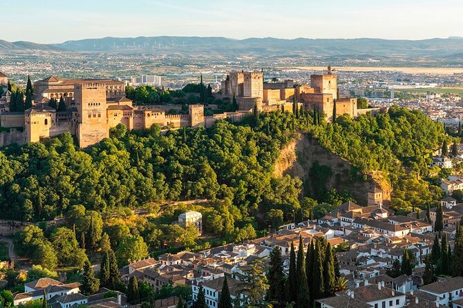 Private Tours Alhambra : Tickets & Tour Guide & Skip-the-Line - What to Expect During the Walk, Pacing, and Q&A