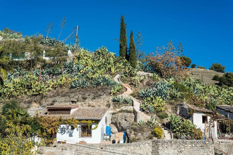 Sacromonte Caves Museum Admission Ticket - Key Highlights You Will Actually Feel