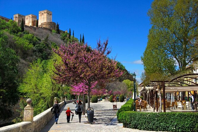 Segway Your Way Through Granada's History: The Ultimate Ride - The Segway Basics That Make the Hills Feel Easy