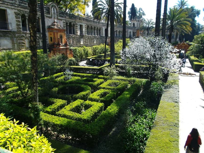 Sevilla Full-Day trip from Granada - Key Things You’ll Notice on This Seville Day Trip