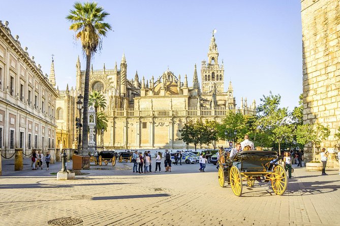 Seville Tour with Alcazar, Cathedral and Giralda from Granada - Granada to Seville: Time on the Road, Comfort in the Van