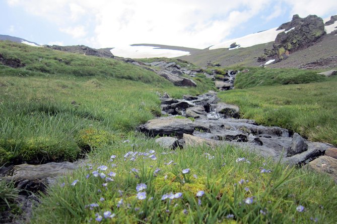 Sierra Nevada Day Trip from Granada. Small group up to 8 pax - Sierra Nevada Day Trips From Granada Actually Feel Manageable