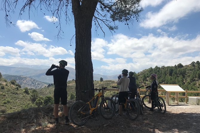 Sierra Nevada Ebike Tour Small Group - Difficulty Level in Real Life: E-Bike Help, Still a Work Out