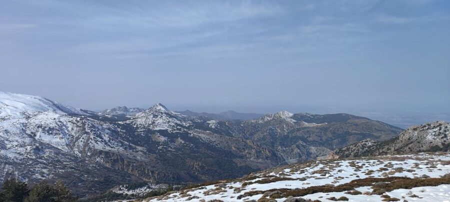 Sierra Nevada Small Group BIKE Tour - Meet at Plaza de Mariana Pineda and get rolling fast