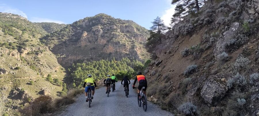 Sierra Nevada Small Group BIKE Tour - Distance, elevation, and choosing between 58 km and 47 km