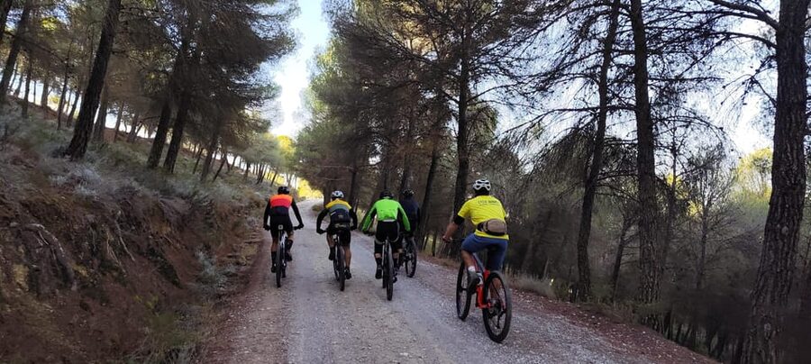 Sierra Nevada Small Group BIKE Tour - Timing and group size: why up to 11 riders feels right here
