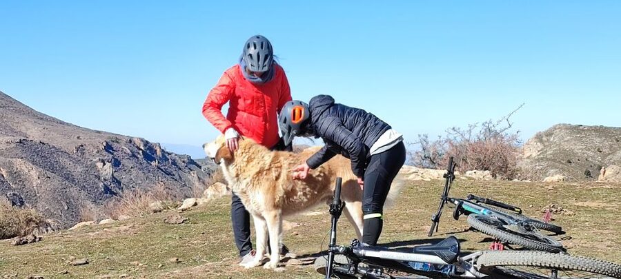 Sierra Nevada Small Group E-Bike Tour - Coffee break and picnic-style fuel: why the food matters on a 5-hour ride