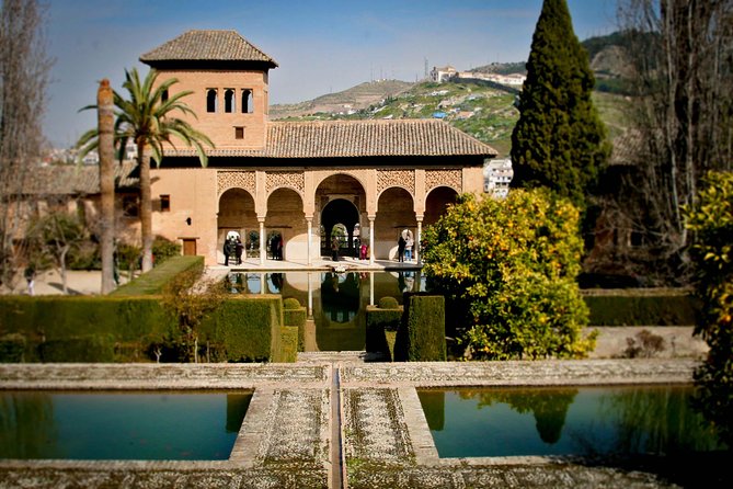 Skip the line: Alhambra Palace and Generalife Gardens Private Guided Tour - The Palace of the Partal and the Medina neighborhood