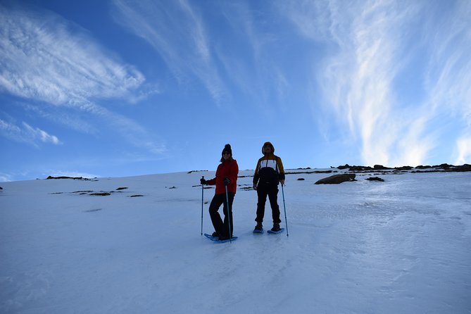 Snowshoe hiking in Sierra Nevada (Granada) - Key highlights you’ll actually feel on the ground