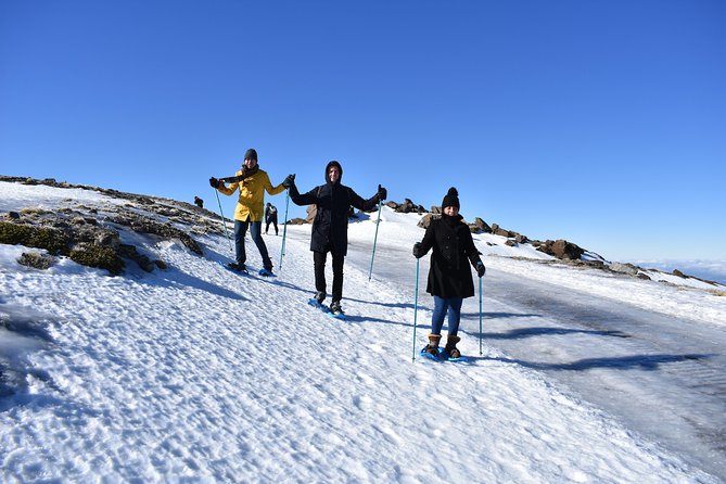 Snowshoe hiking in Sierra Nevada (Granada) - Sierra Nevada National Park: walking where the scenery rules