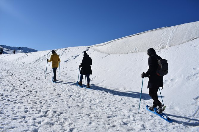Snowshoe hiking in Sierra Nevada (Granada) - Getting to Sierra Nevada: the 50-minute ride and why it matters