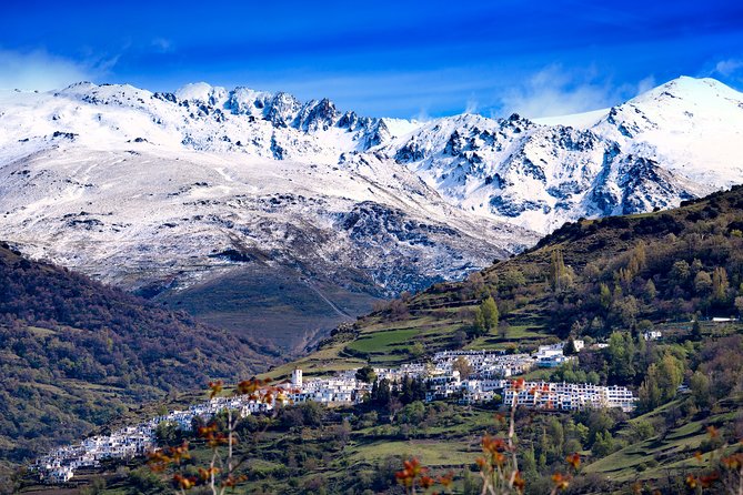 The Unchanged Villages of Alpujarra Small-Group Guided Day Trip - Hotel pickup, small-group pace, and how the day stays manageable