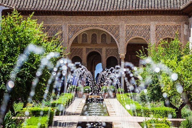 Tickets included: Alhambra (Gardens) - Meeting Point at Polinario Café and What to Expect at 10:00