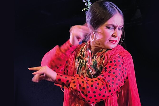 Traditional Flamenco Show at Tablao Casa Ana - Photos, Video, and When You Can Record