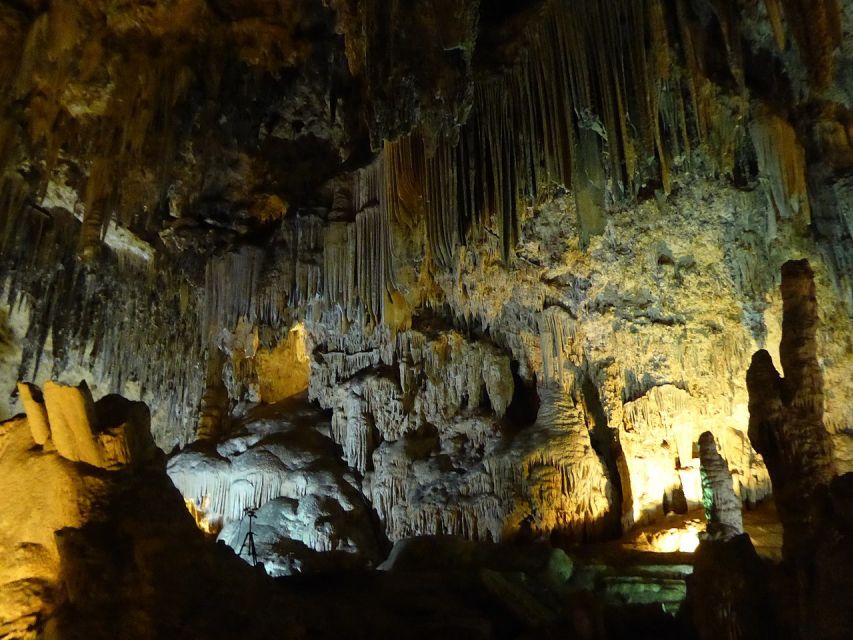 Tropical Coast and Caves of Nerja Day Tour from Granada - Guides matter, and you’ll feel it in the day