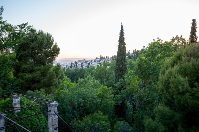 Water paths. Private adventure and history tour - The Alhambra edge: how the eastern wall connected to water