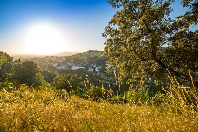 Water paths. Private adventure and history tour - Cerro del Sol: the labyrinth of roads, ditches, and forest shade